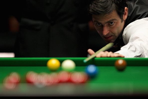 占据单独领 占据单独领