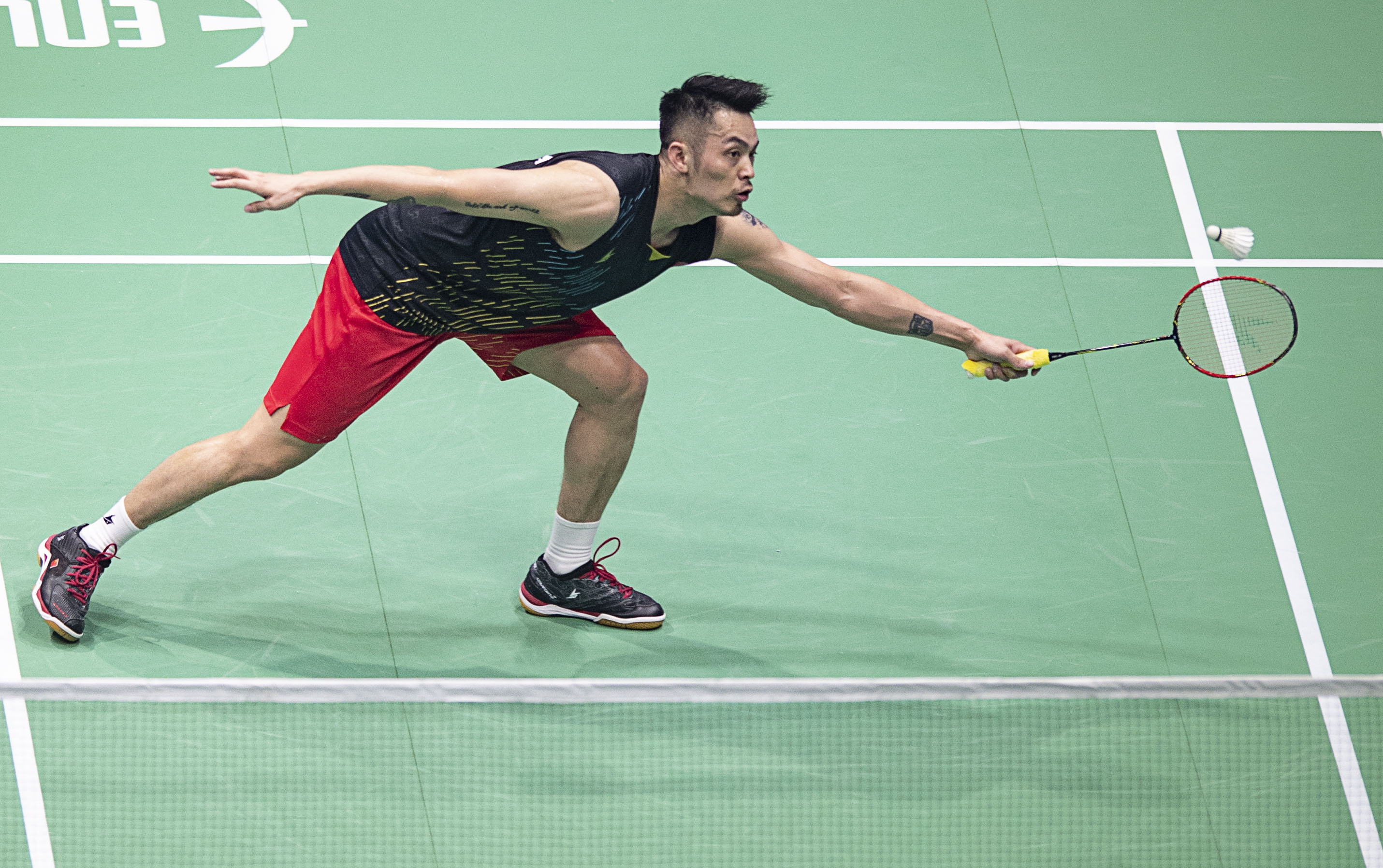 哈迪的潜在 哈迪的潜在